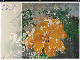 EBook Urbanblumen – Naturstadt von Anja Weingarten